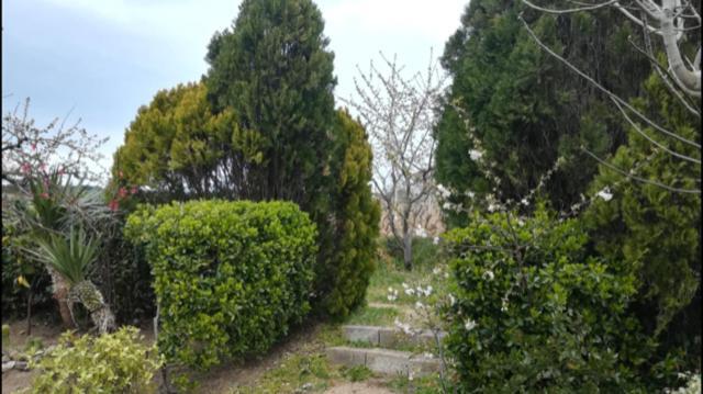 Sa Chiriasa Apartamento Monti Exterior foto